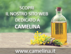 Camelina sativa sito web