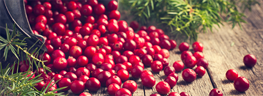 Cranberry (Mirtillo rosso)