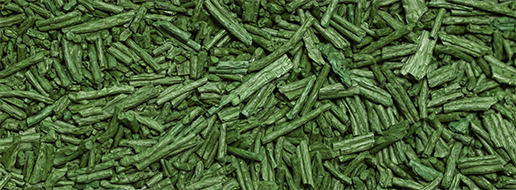 Algae spirulina (Alga spirulina)