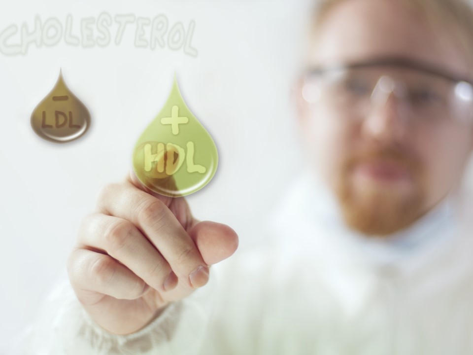 Colesterolo differenza LDL - HDL